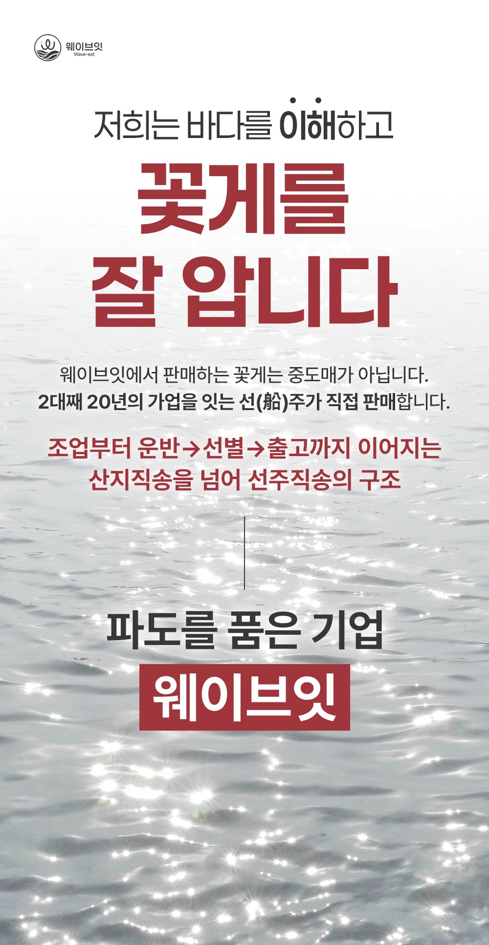 웨이브잇 상세페이지_2.JPG